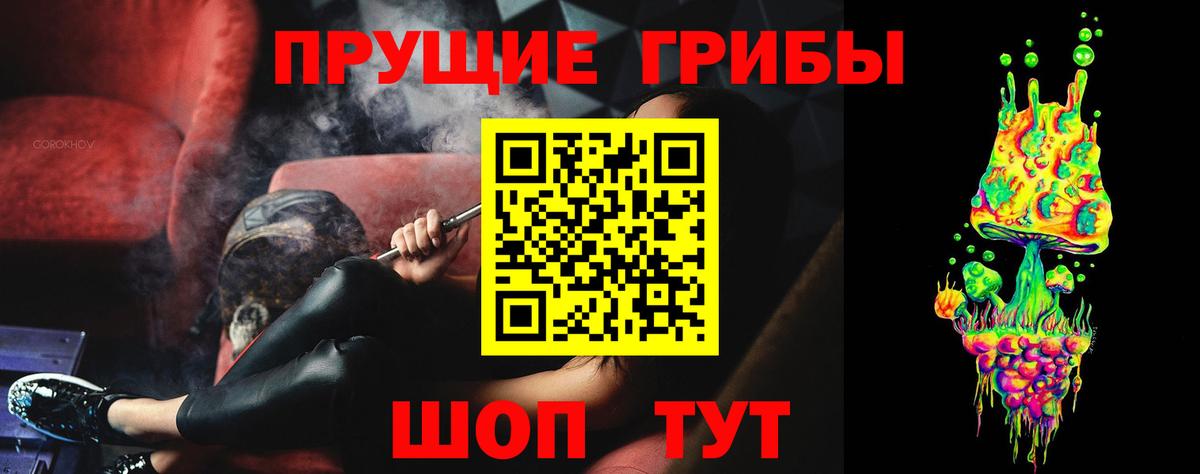 Псилоцибиновые грибы GOLDEN TEACHER Сегежа